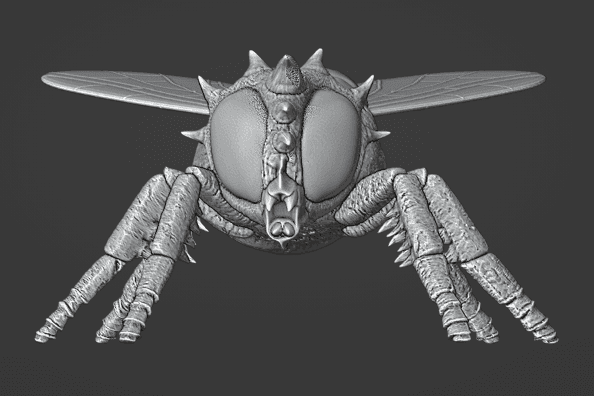 Giant Fly