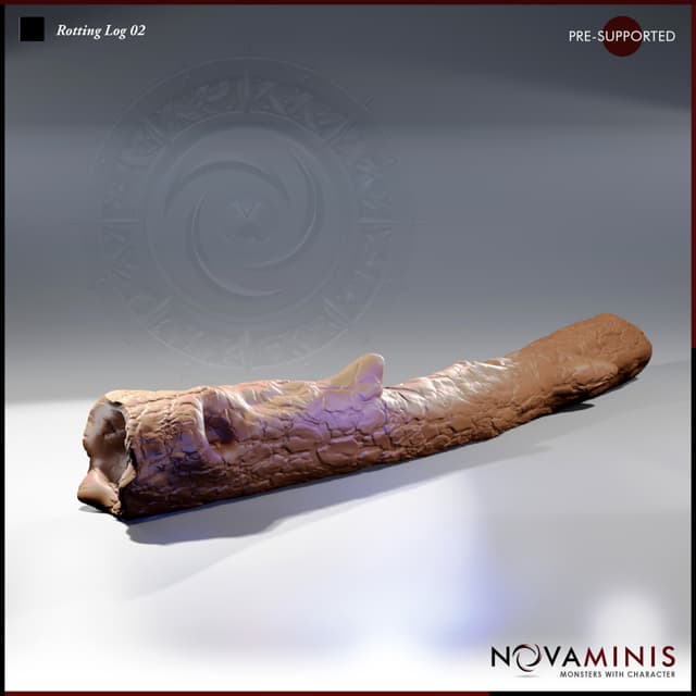 Rotting Log 02