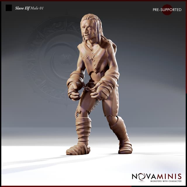 Slave Elf Male 01