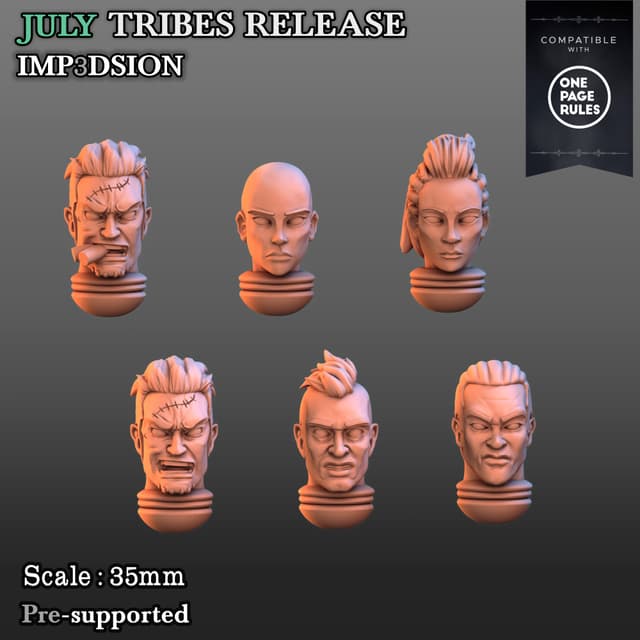 Heads ( Pack 6 units)