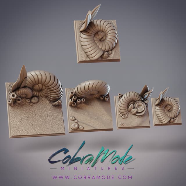Nautilus Square Base Pack (4pcs)