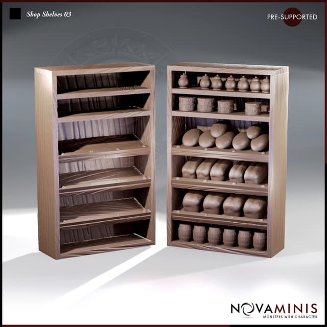 Shop Shelves 03