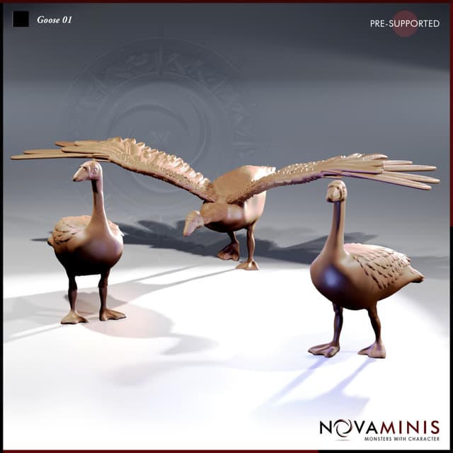 Goose 01