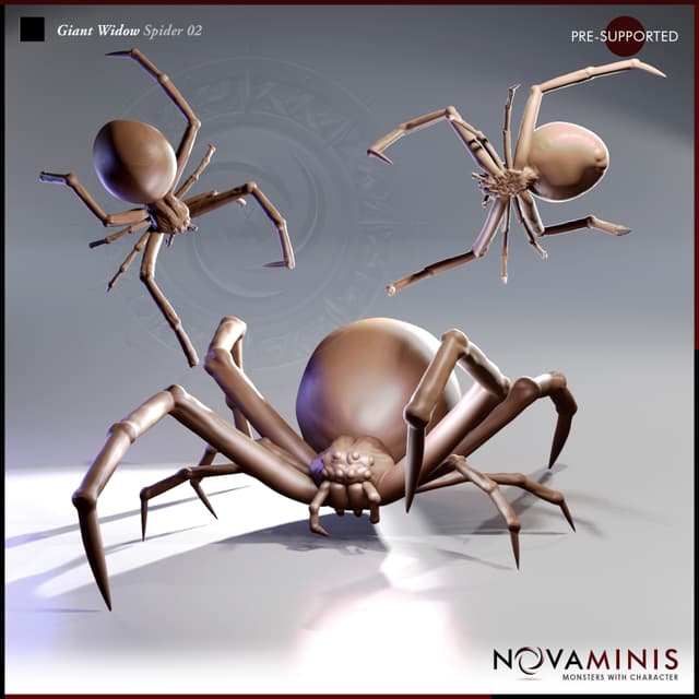 Giant Widow Spider 02
