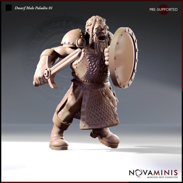 Dwarf Male Paladin 01