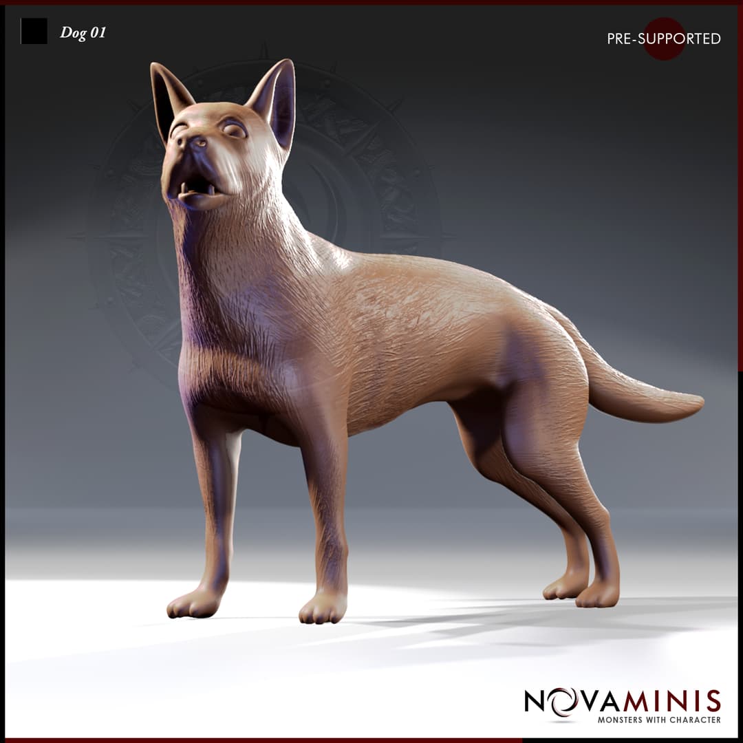 Dog 01
