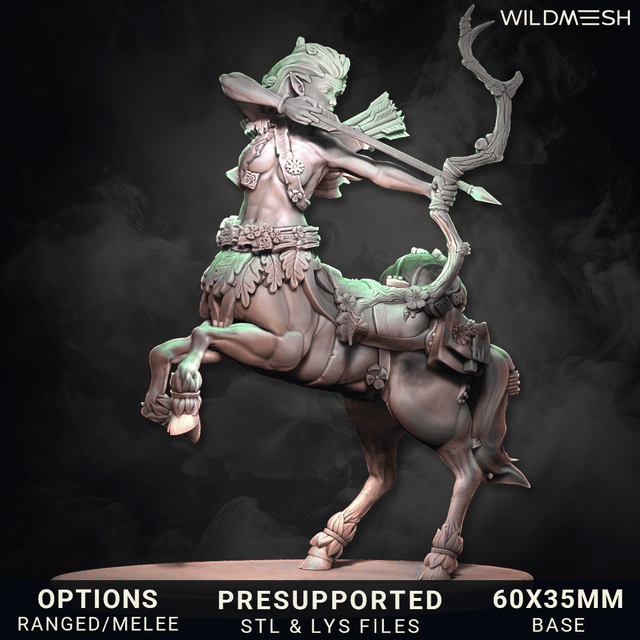 Fantasy - Centaur Archer and Warrior Hero