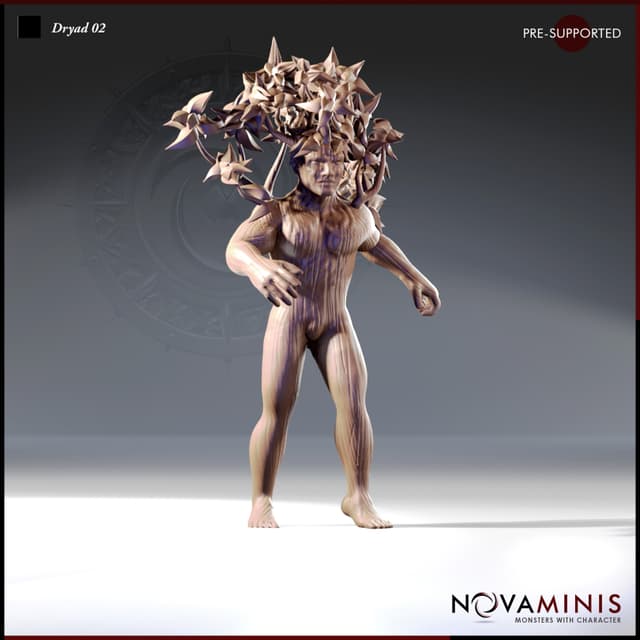 Dryad 02