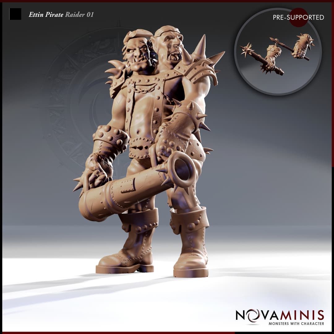 Ettin Pirate Raider 01