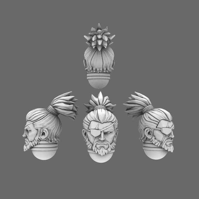 Cyber Samurai Exposed Ronin Heads