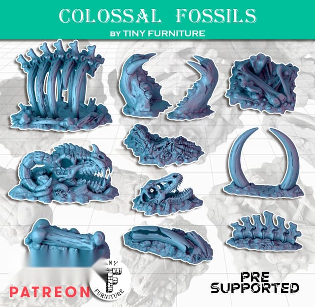 Colossal Fossils