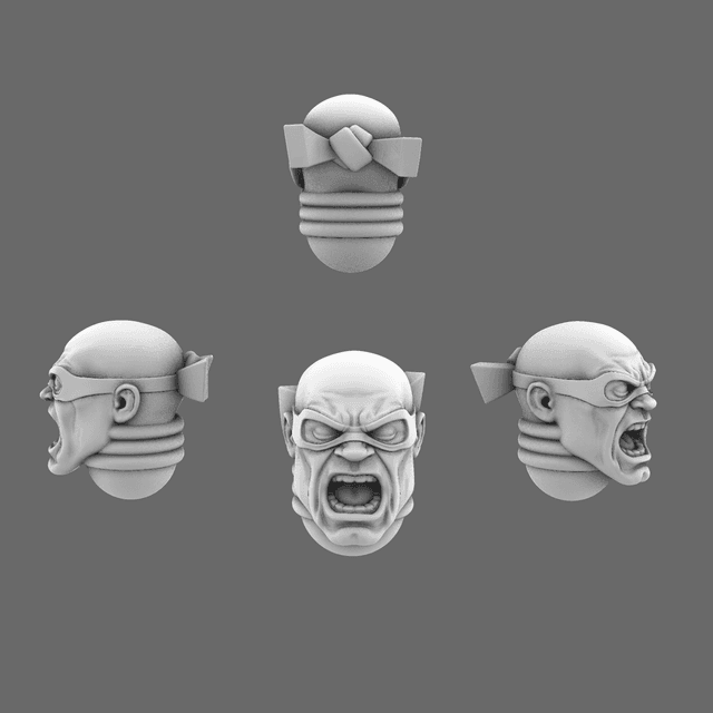 Cyber Samurai Turtle Boy Heads Type A