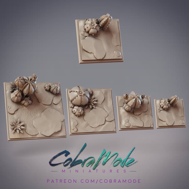 Cactus Square Base Pack (4pcs)