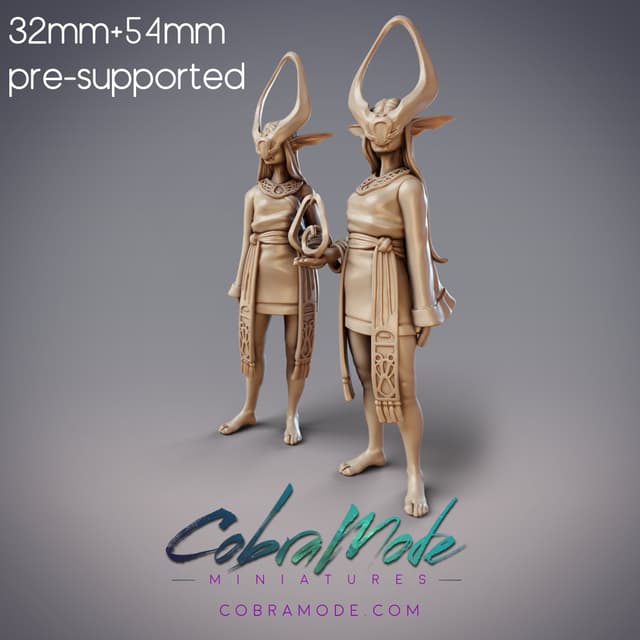 Stygian Void Mage Twins - Eshraq & Isra, Children of Ydris (Pre-supported)