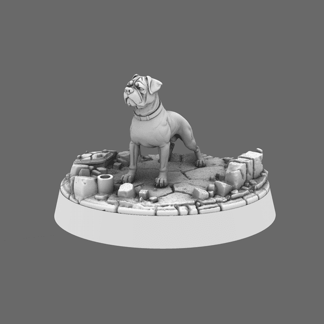 CT Pound Patrol Boxer Canine Specialist, Ranger