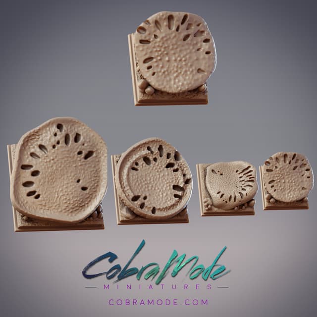 Mushroom Cap Square Base Pack (4pcs)