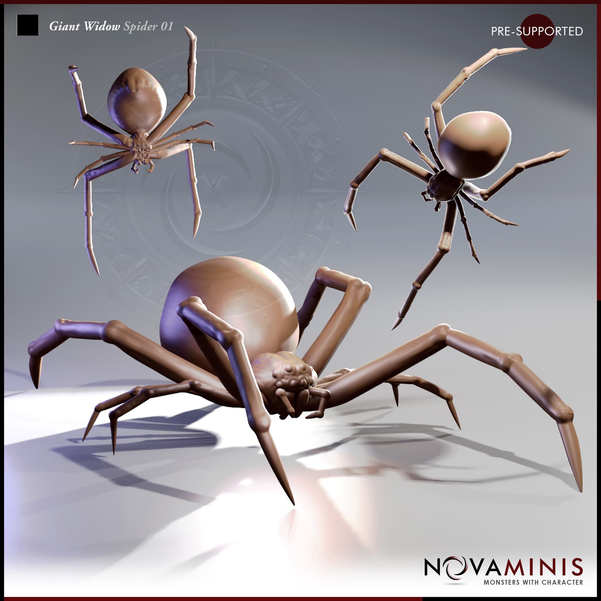 Giant Widow Spider 01
