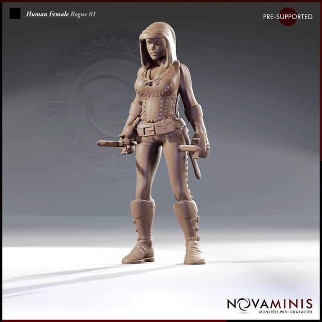 Human Female Rogue 01