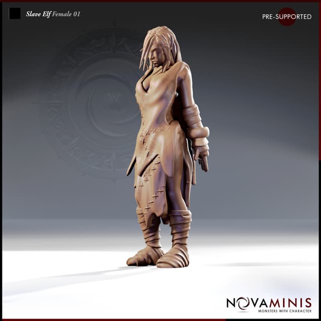Slave Elf Female 01