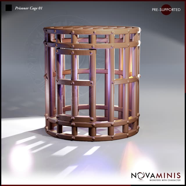 Prisoner Cage 01