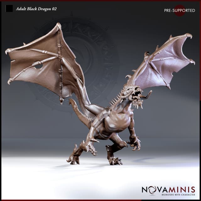 Adult Black Dragon 02