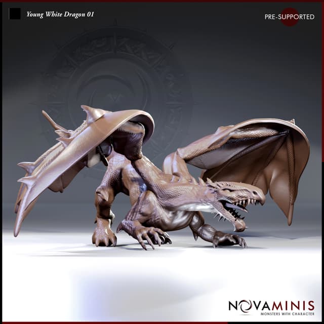 Young White Dragon 01