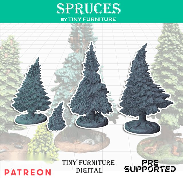 Spruces