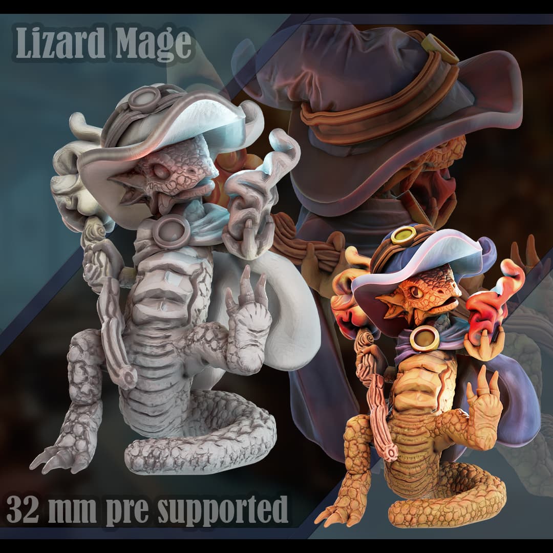 Lizard Mage