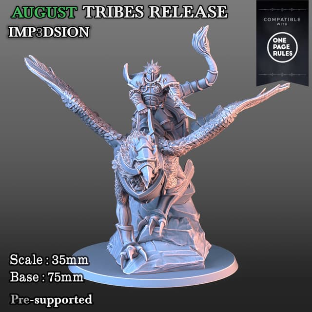 Gryphon rider 2 + solaris heavy helmet