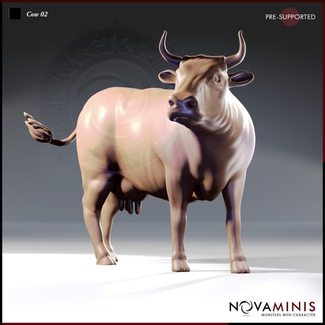 Cow 02