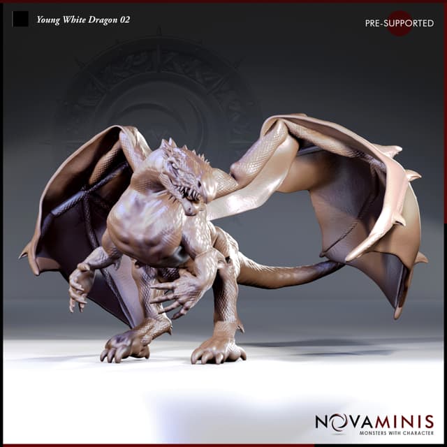 Young White Dragon 02
