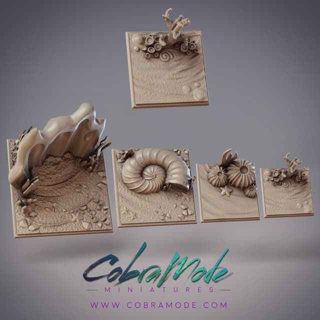 Seashells Square Base Pack 4pcs (Supportless)