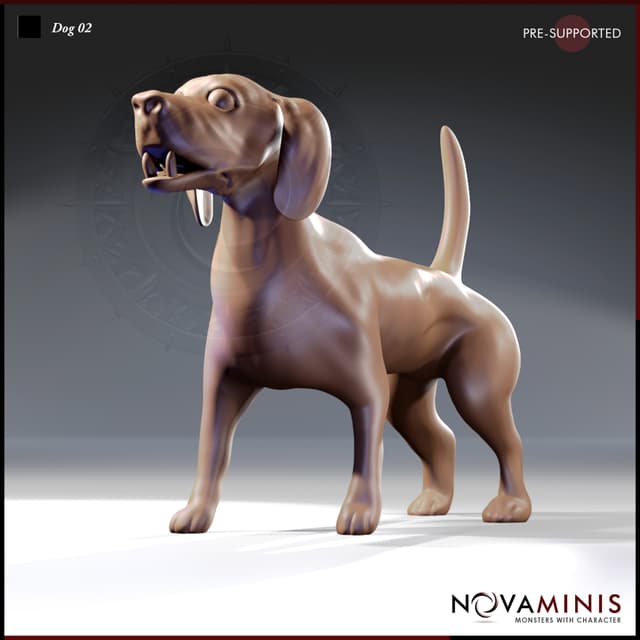 Dog 02