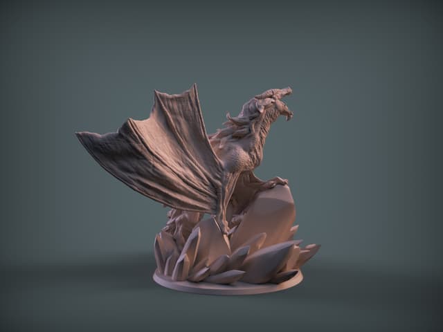 Young Air Dragon