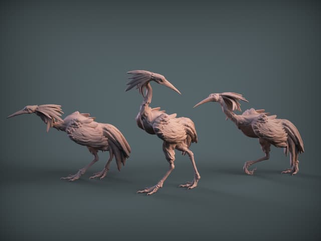 Pack Sandhill Cranes