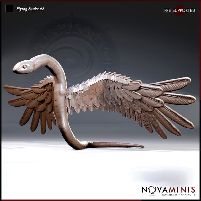 Flying Snake 02