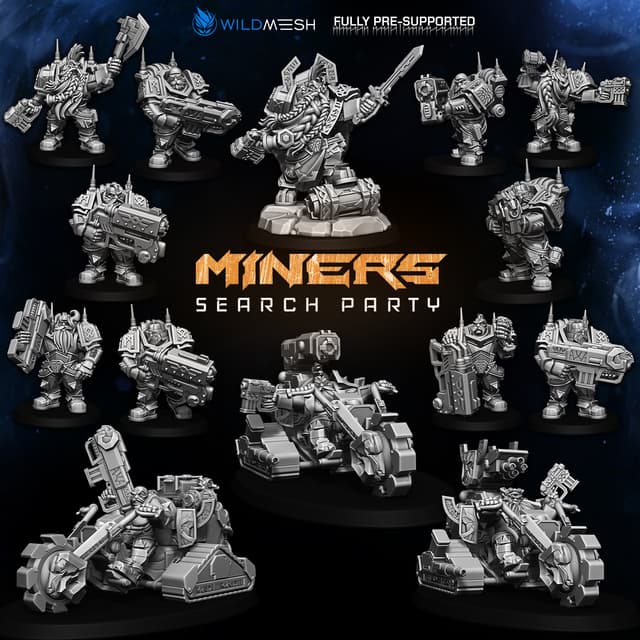 Miners Search Party