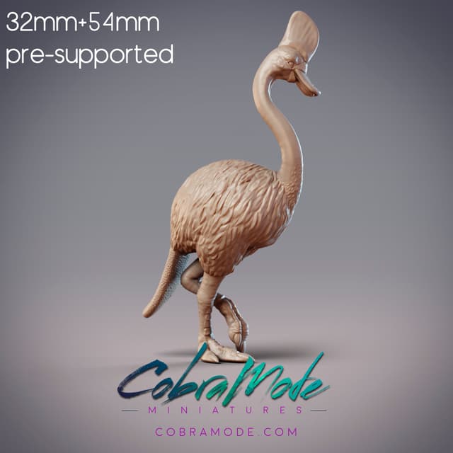 Platywary - Platypus Cassowary Hybrid (Pre-Supported)