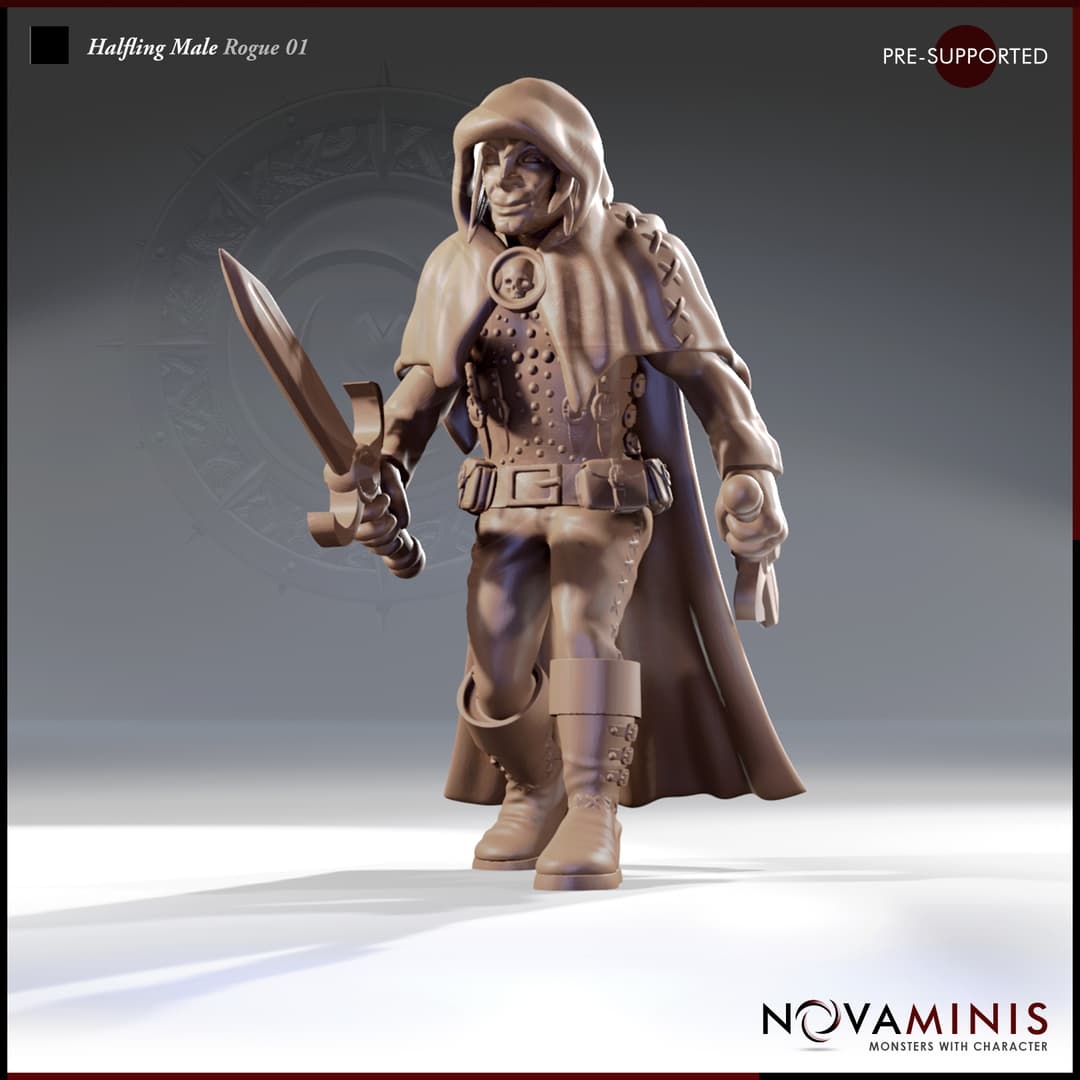 Halfling Male Rogue 01