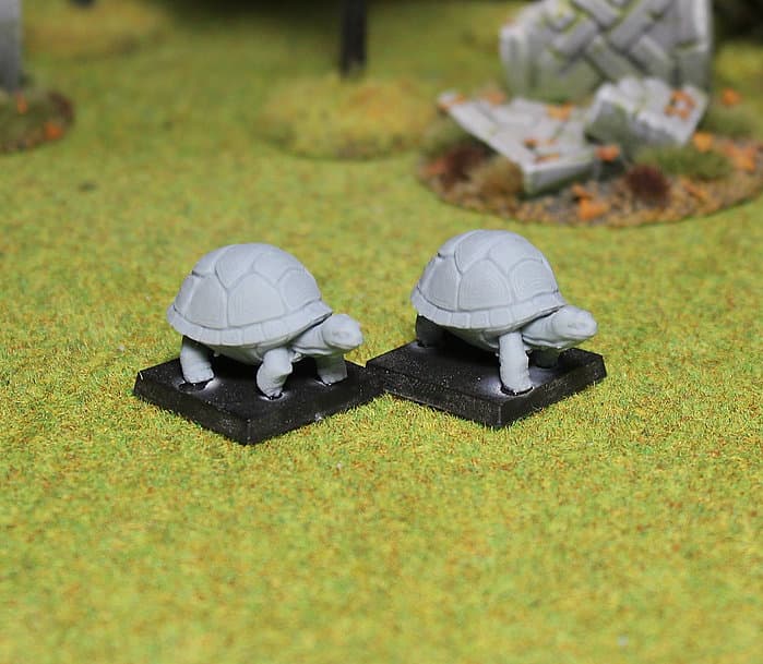 Turtles