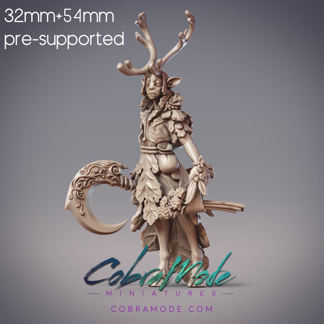 Elven Herb Master - Odhran, Ciorcal Druid (Pre-supported)