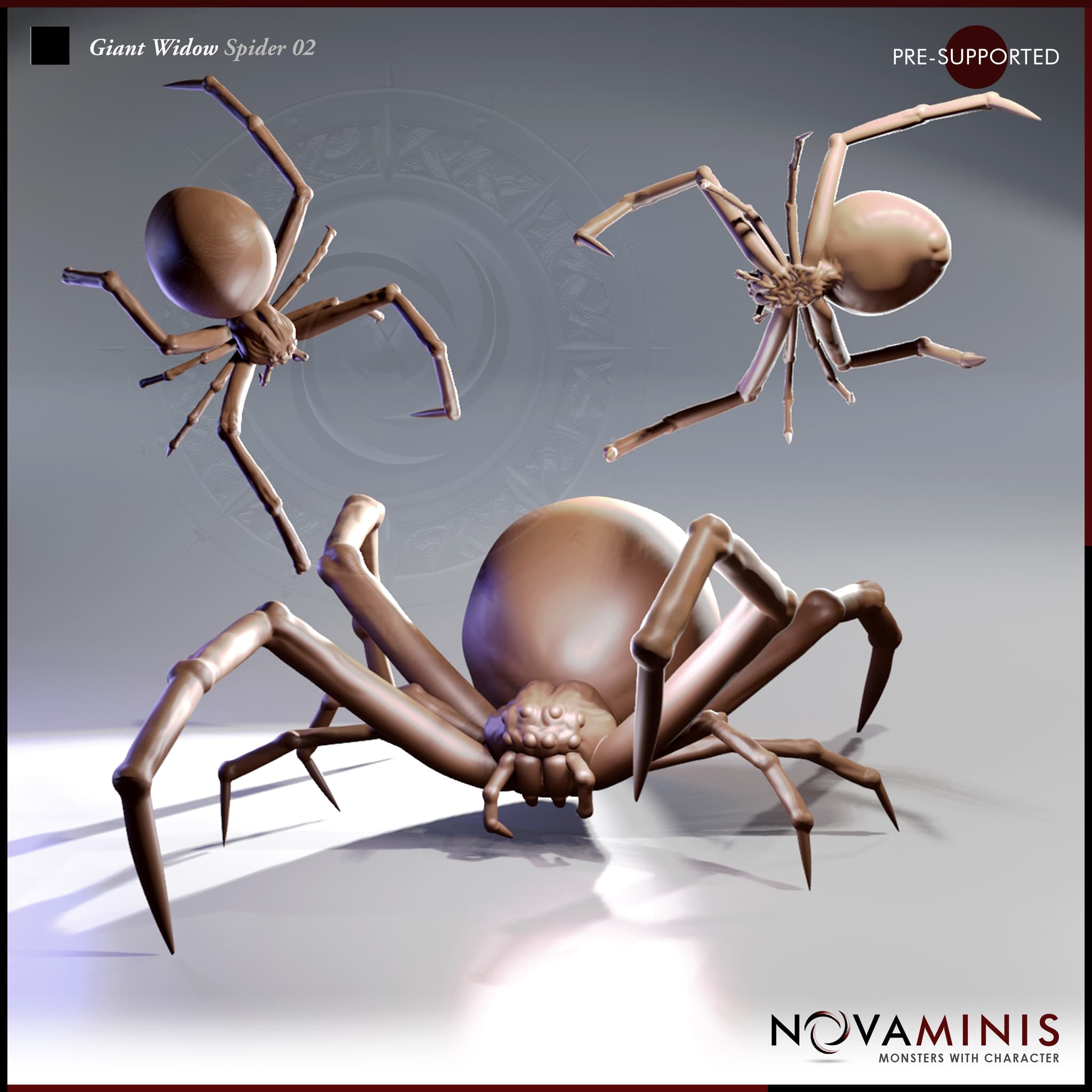 Giant Widow Spider 02