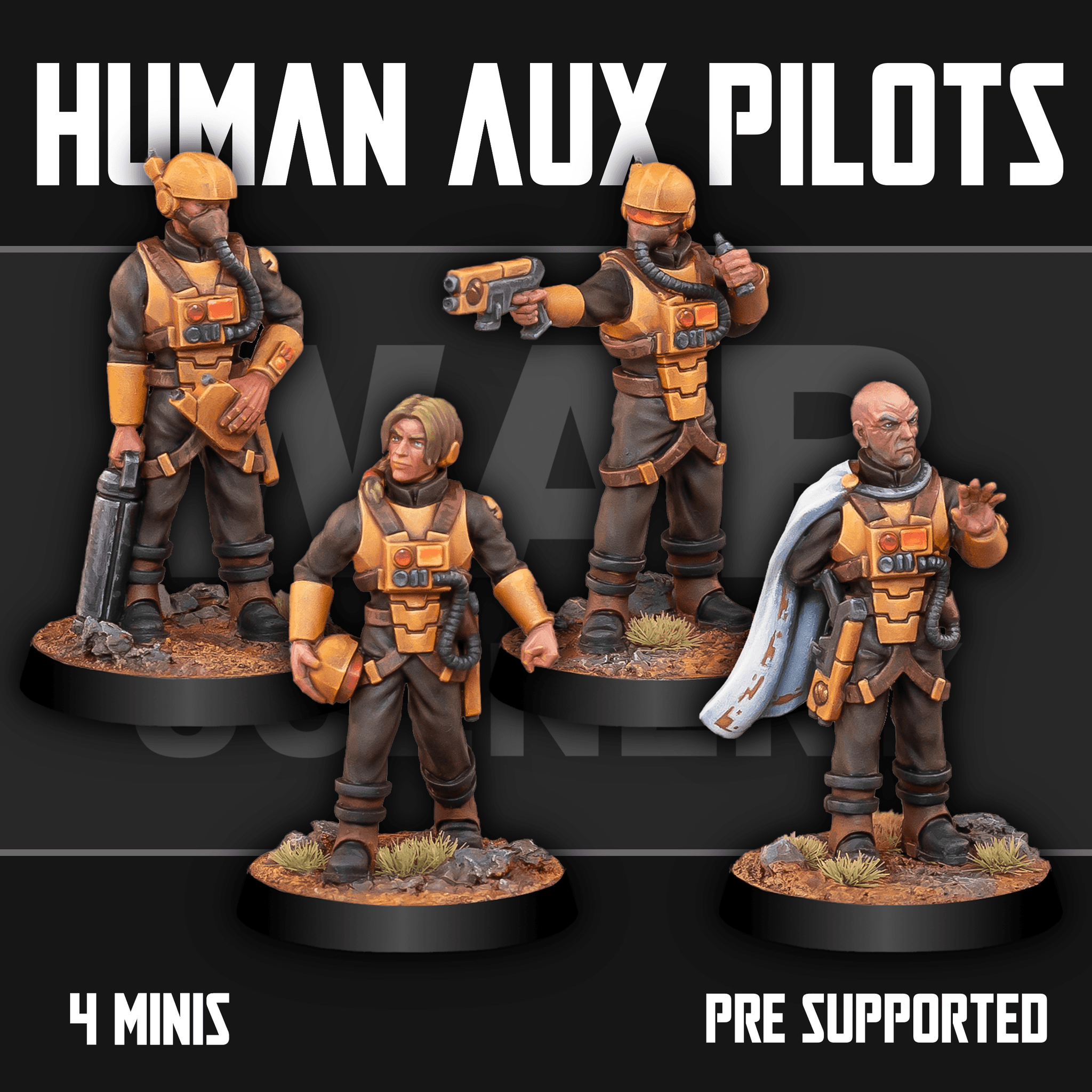 Human Auxiliary Pilots